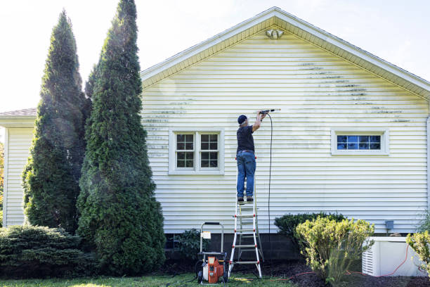 Best Solar Panel Cleaning  in Hlside, IL